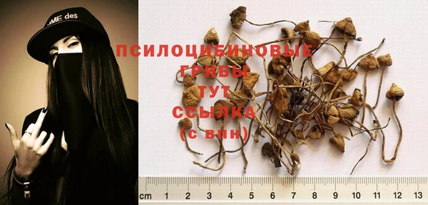 a pvp Арсеньев