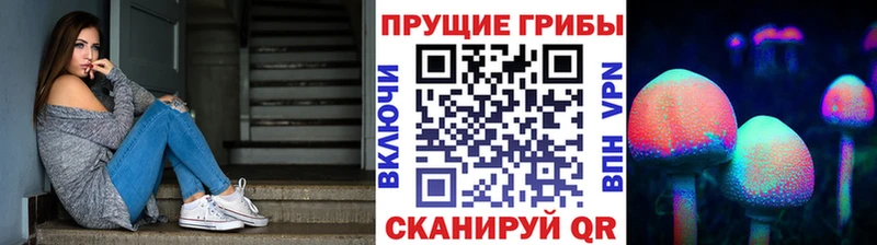 мориарти официальный сайт  хочу   Армянск  Галлюциногенные грибы прущие грибы 